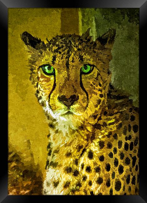 Portrait of a cheetah, Painting effect Framed Print by Bernd Tschakert