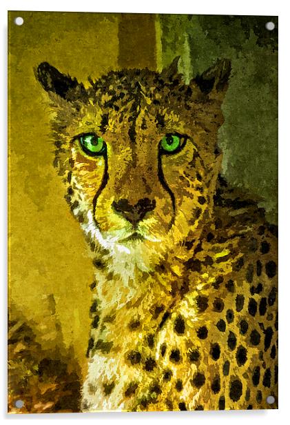 Portrait of a cheetah, Painting effect Acrylic by Bernd Tschakert