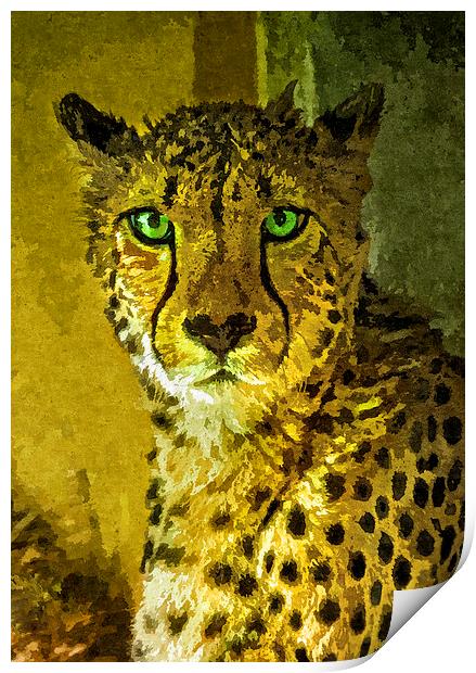 Portrait of a cheetah, Painting effect Print by Bernd Tschakert