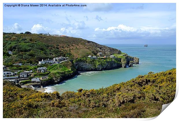 St Agnes Cornwall Print by Diana Mower