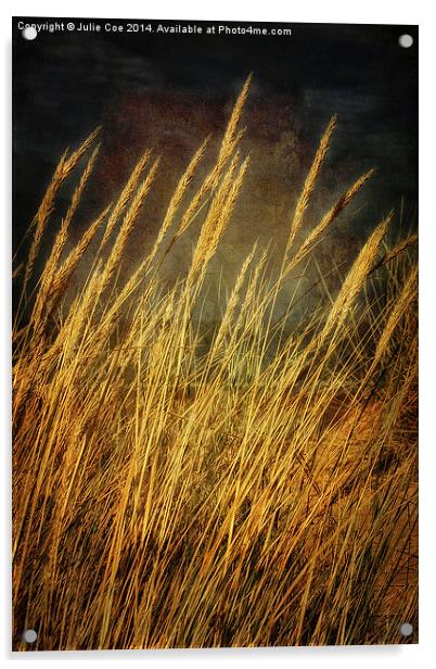 Holkham Dunes 2 Acrylic by Julie Coe