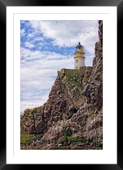Lighthouse on Bass rock Framed Mounted Print by jane dickie