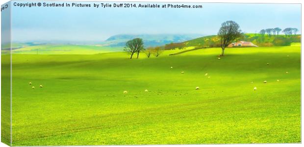 Farm at West Kilbride Ayrshire Canvas Print by Tylie Duff Photo Art