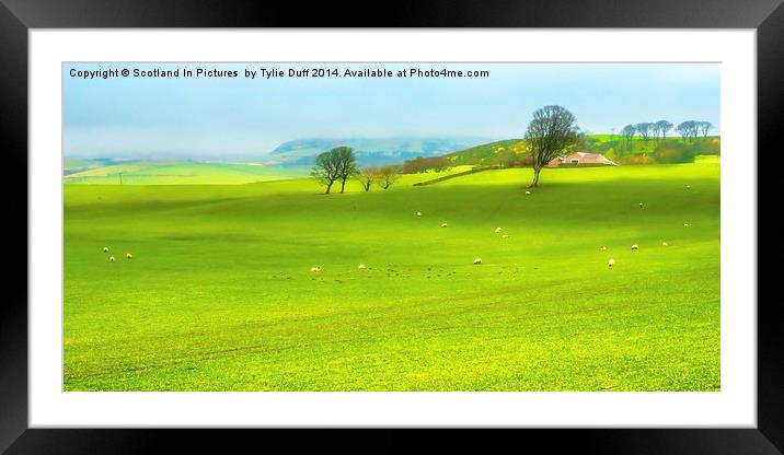 Farm at West Kilbride Ayrshire Framed Mounted Print by Tylie Duff Photo Art