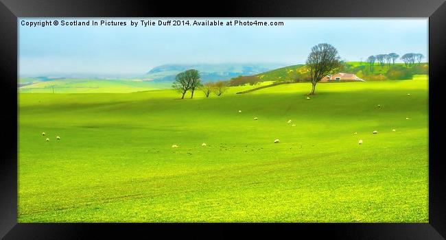 Farm at West Kilbride Ayrshire Framed Print by Tylie Duff Photo Art