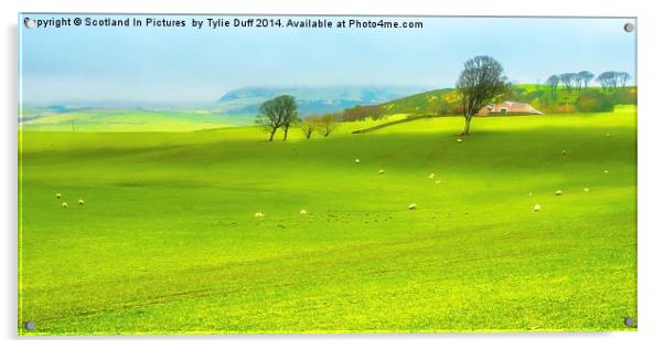 Farm at West Kilbride Ayrshire Acrylic by Tylie Duff Photo Art