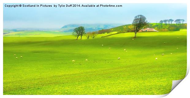 Farm at West Kilbride Ayrshire Print by Tylie Duff Photo Art