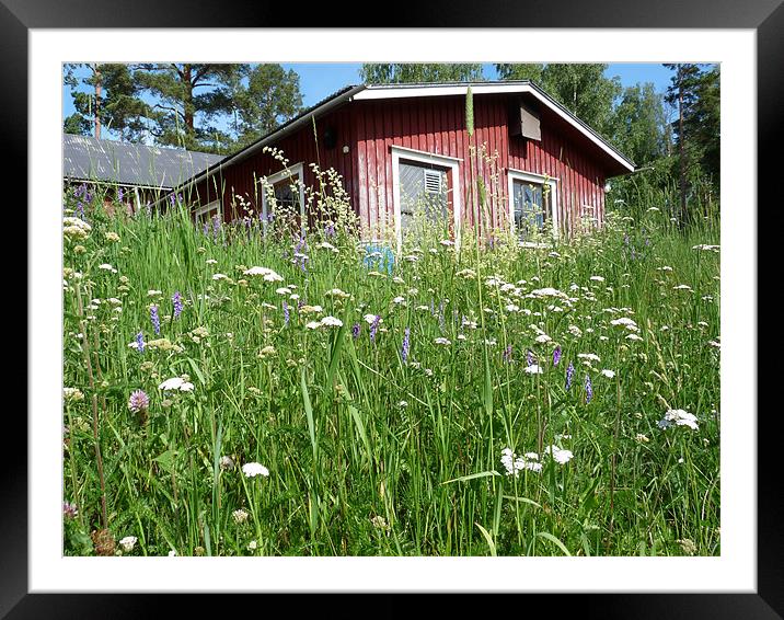 Summer stable Framed Mounted Print by John Whitesmith