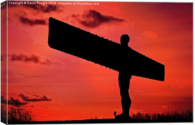 Angel of the North Canvas Print by David Pringle