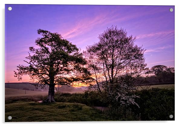 Knowl Water sunrise Acrylic by Dave Wilkinson North Devon Ph