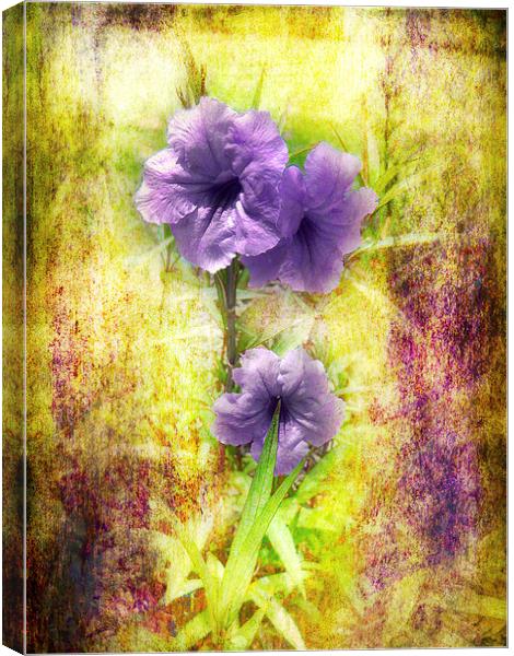 Flowering Mexican Petunias 2 Canvas Print by Judy Hall-Folde