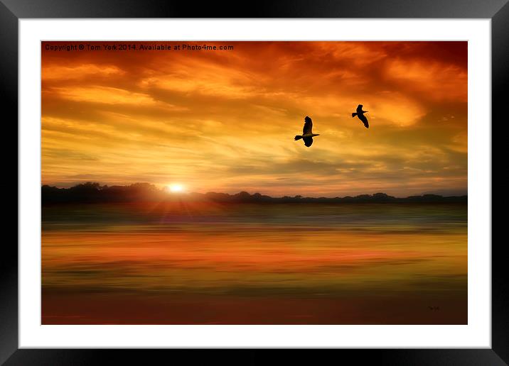 Sunset Serenity Framed Mounted Print by Tom York