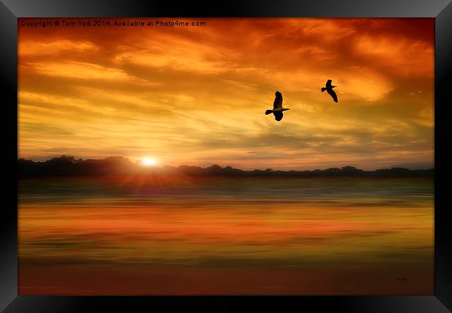 Sunset Serenity Framed Print by Tom York