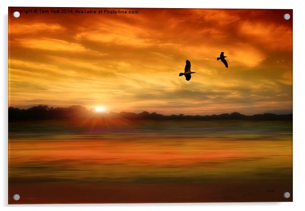 Sunset Serenity Acrylic by Tom York