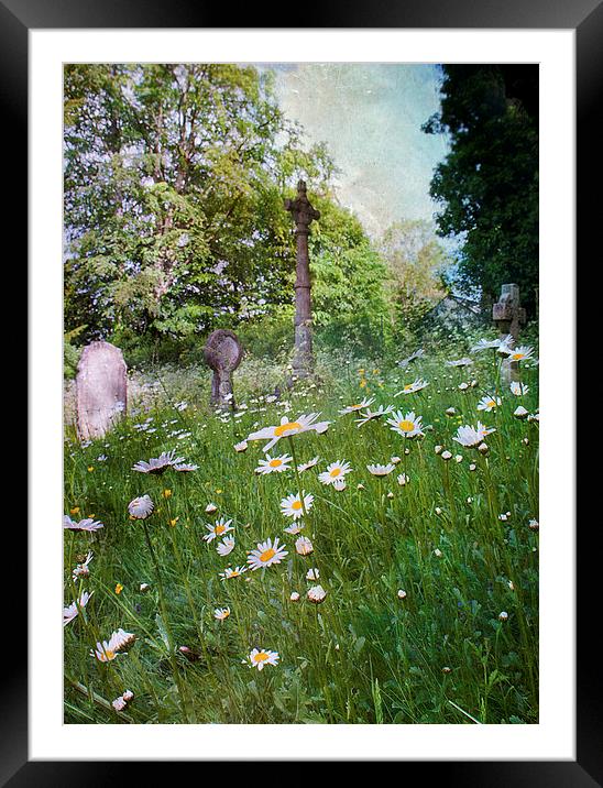 A Quiet Corner Framed Mounted Print by Dawn Cox