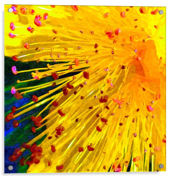 Sunshine yellow Acrylic by Paula Palmer canvas