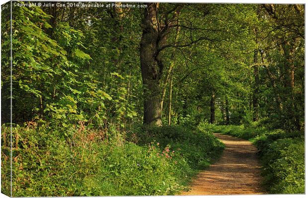 Blickling Woods 5 Canvas Print by Julie Coe