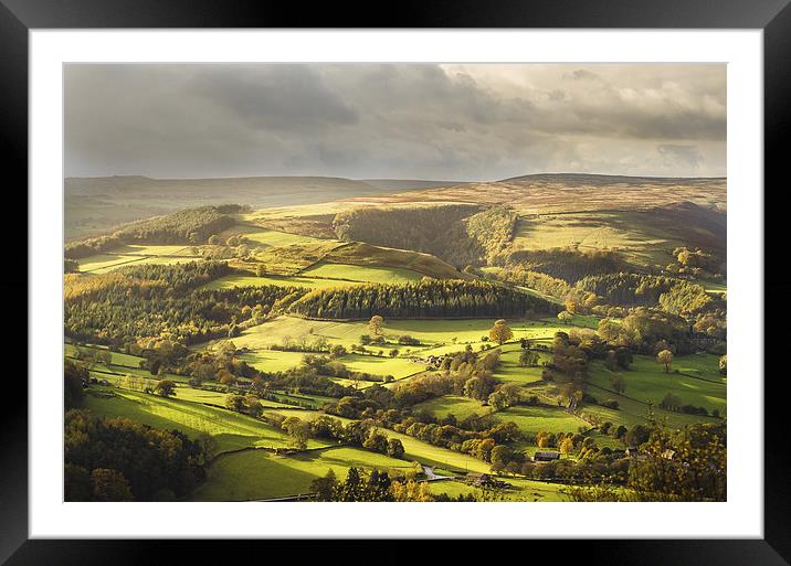 A Fleeting Glimpse Framed Mounted Print by David Vickers