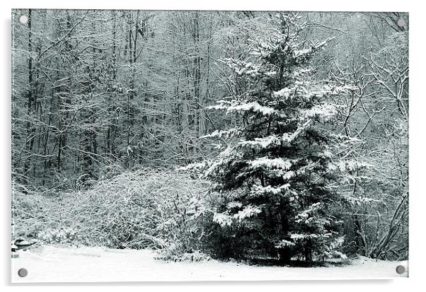 Winter Scene Tritone Acrylic by james balzano, jr.