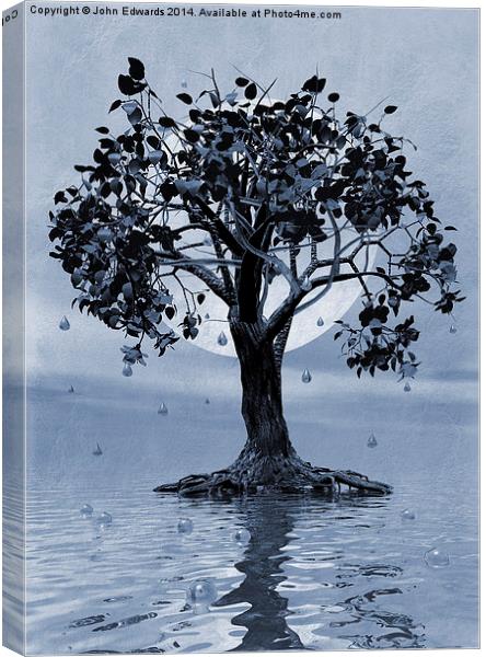 The Tree that Wept a Lake of Tears Canvas Print by John Edwards