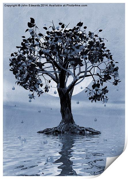 The Tree that Wept a Lake of Tears Print by John Edwards