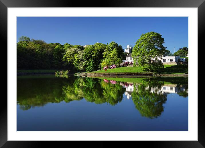 Crookes Valley Park Mirror Image Framed Mounted Print by Darren Galpin