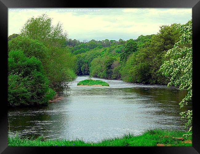 River Island ! Framed Print by Bill Lighterness