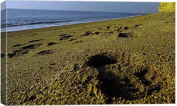 JST3046 Beach footprint Canvas Print by Jim Tampin