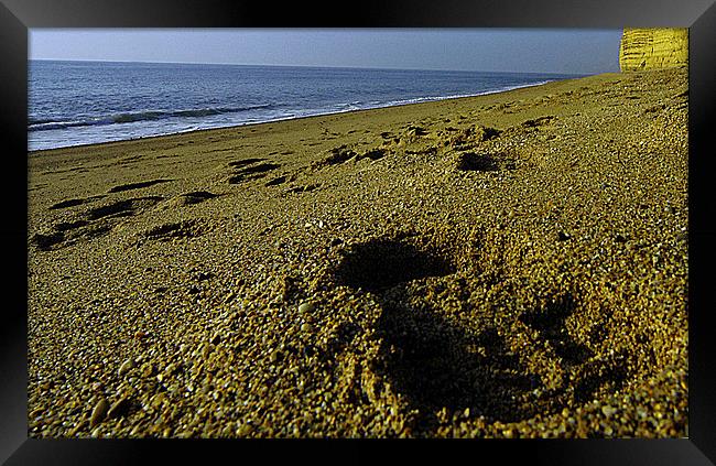 JST3046 Beach footprint Framed Print by Jim Tampin