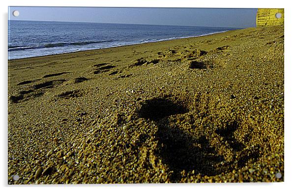 JST3046 Beach footprint Acrylic by Jim Tampin