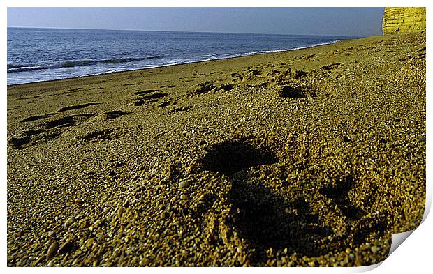 JST3046 Beach footprint Print by Jim Tampin