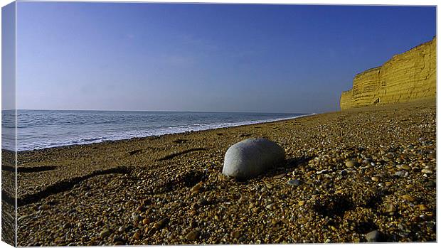 JST3045 Pebble on the beach Canvas Print by Jim Tampin