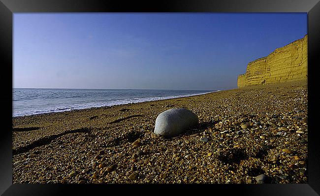 JST3045 Pebble on the beach Framed Print by Jim Tampin