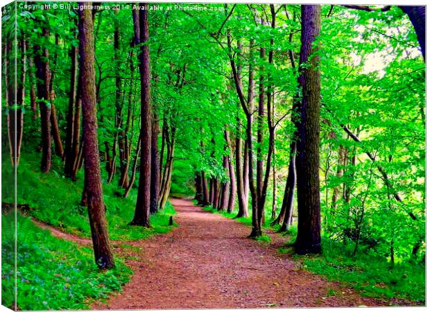 A Walk in the Woods Canvas Print by Bill Lighterness