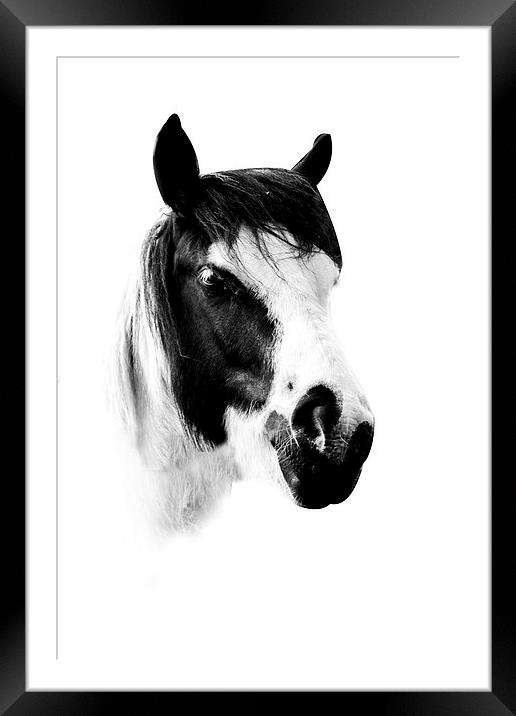 Horse Framed Mounted Print by Simon Alesbrook
