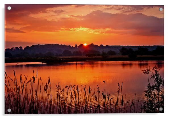 Drayton RSPB 3 Acrylic by Jack Jacovou Travellingjour