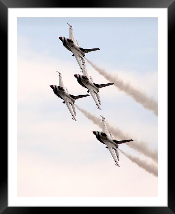 Falcon Display Framed Mounted Print by Peter Struthers