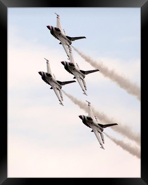 Falcon Display Framed Print by Peter Struthers