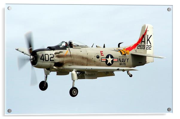 Douglas Skyraider Acrylic by Peter Struthers