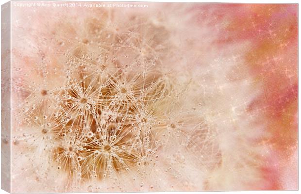 Pink Dandelion Sparkle Canvas Print by Ann Garrett