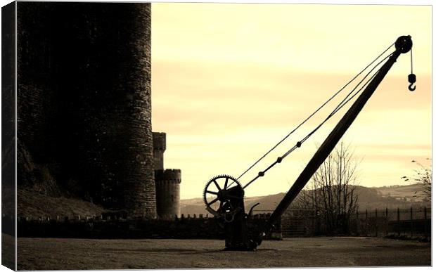 Castle and Crane. Canvas Print by victoria mather