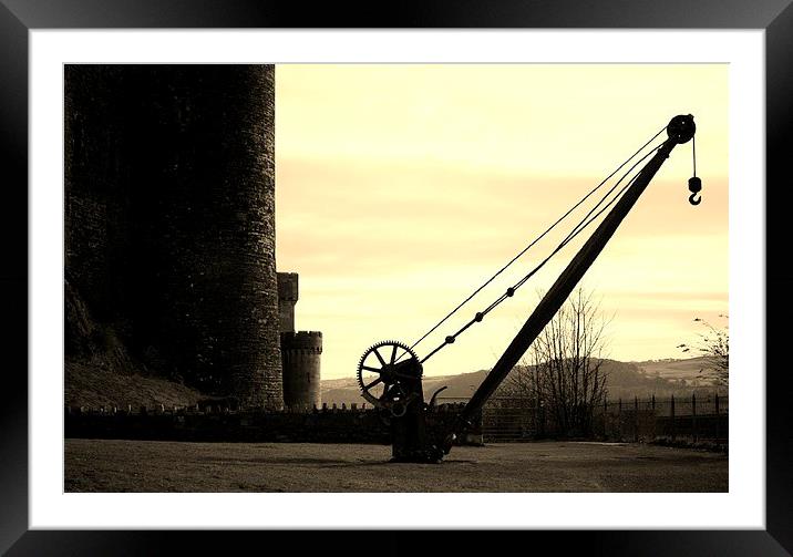 Castle and Crane. Framed Mounted Print by victoria mather