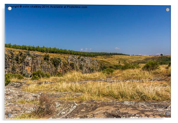 Landscape near Graskop, South Africa Acrylic by colin chalkley