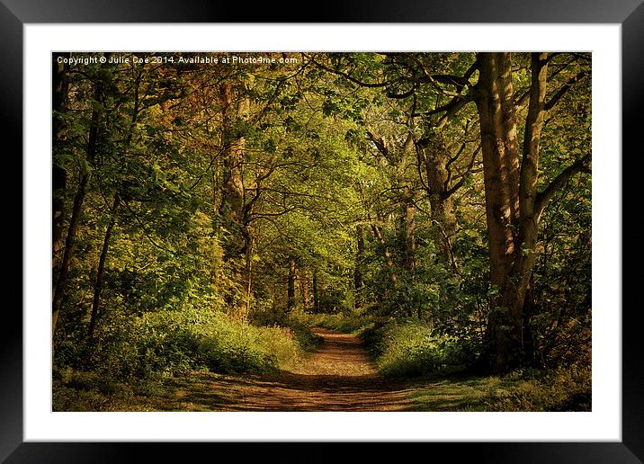 Blickling Woods 6 Framed Mounted Print by Julie Coe