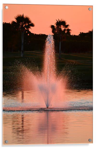 Sunset Pink Fountain Acrylic by Jacqueline Burrell
