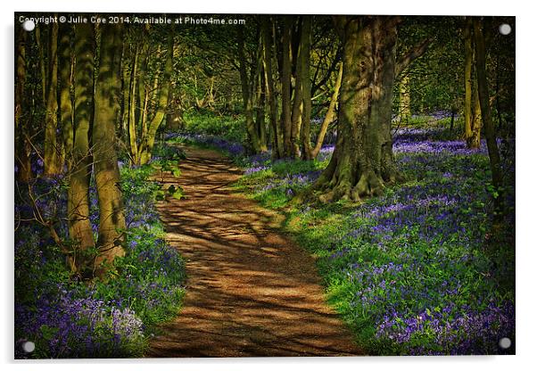 Bluebells At Blickling 5 Acrylic by Julie Coe