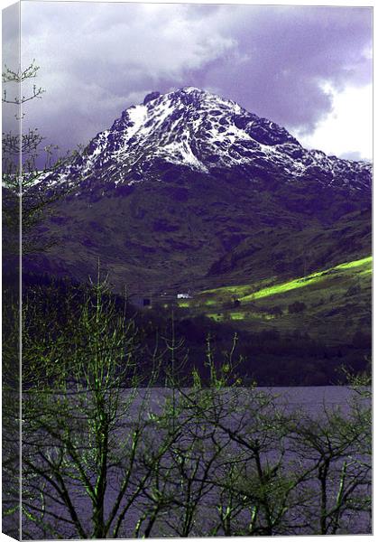 JST3032 Beinn Ime Canvas Print by Jim Tampin