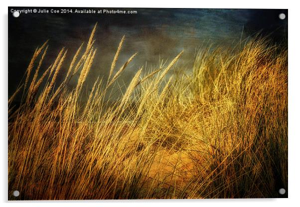 Holkham Dunes 4 Acrylic by Julie Coe