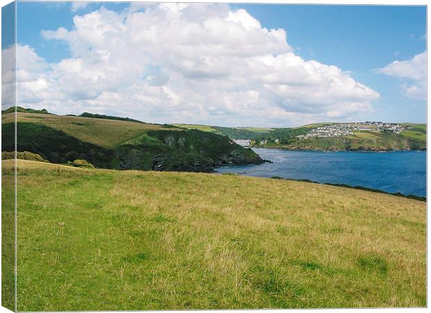 Fowey and Poulran Estuary Canvas Print by Diane Griffiths