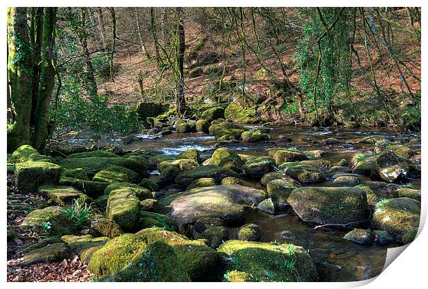 The River Dart near Dartmeet Print by Rosie Spooner